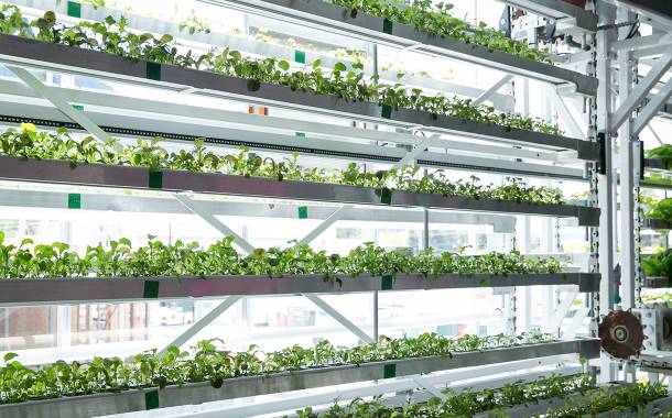 TPP Capital launches $20m urban agriculture investment fund