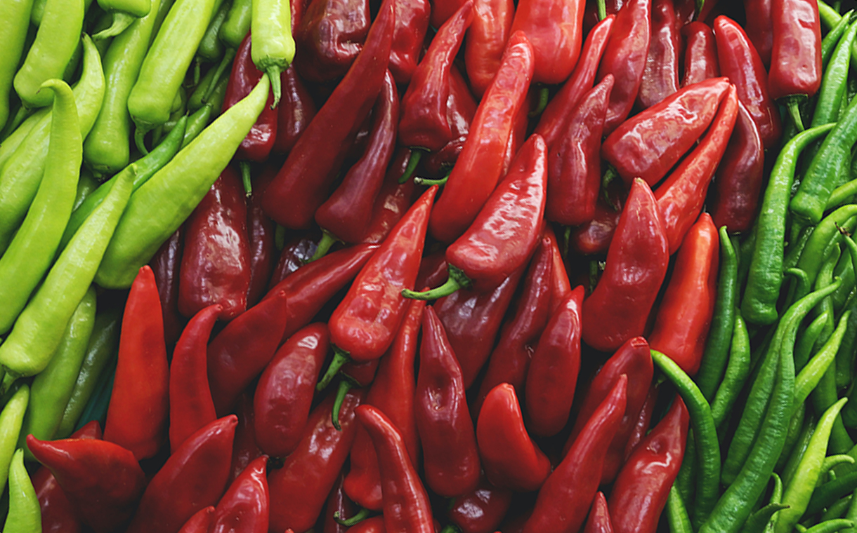 Sensient Natural Ingredients buys chilli pepper plant in New Mexico