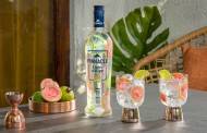 Beam Suntory unveils Pinnacle Light & Ripe