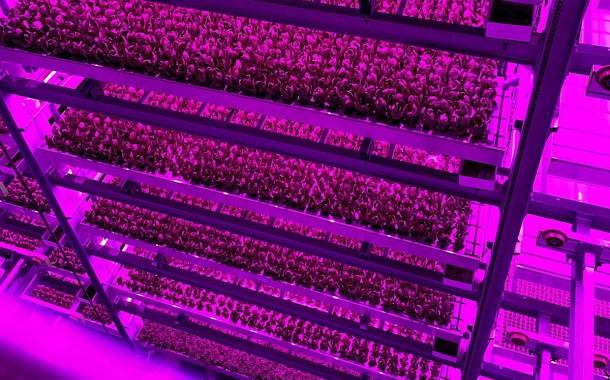 Vertical farming firm 80 Acres Farms enters into research agreement