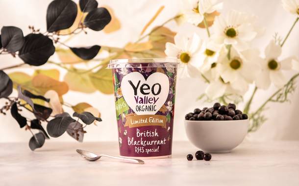 Yeo Valley launches limited-edition British blackcurrant yogurt