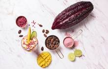 Barry Callebaut debuts Van Houten ruby chocolate drinking powder