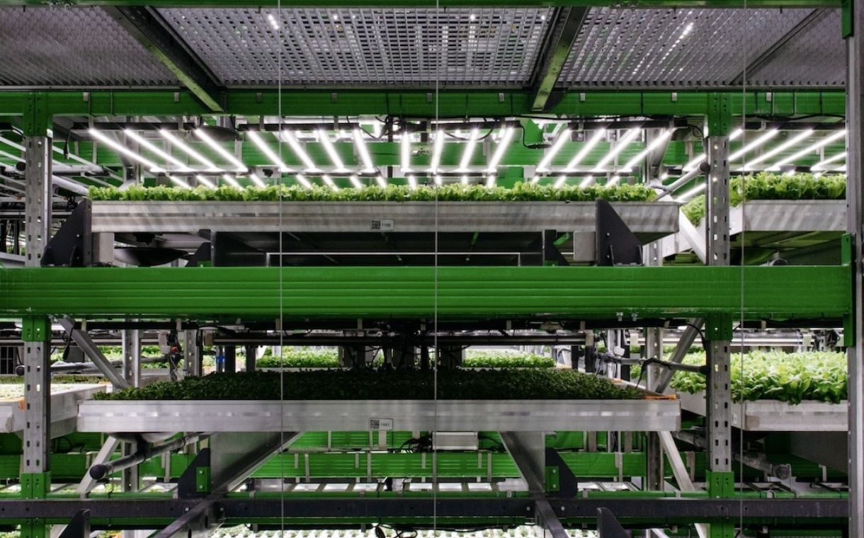 Vertical farming company Bowery Farming secures $300m in funding