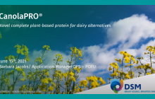 Free webinar: DSM's new plant-based protein source for dairy alternatives