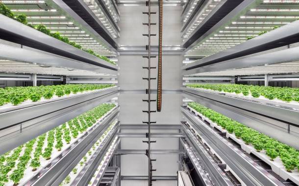 Over 20 vertical farming companies commit to sustainable food system