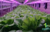 Vertical Farming Congress raises expectations