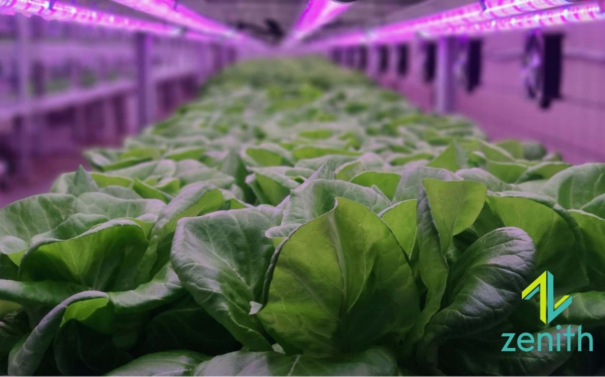 Vertical Farming Congress raises expectations