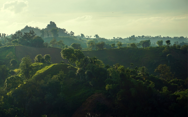 AAK partners with Nestlé and Musim Mas to tackle deforestation