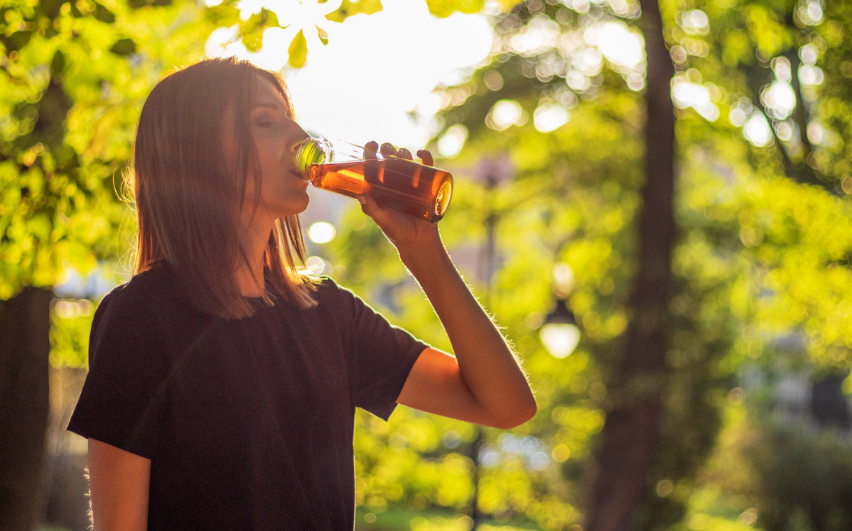 InstaKOMBU™: High-profile kombucha in powder format