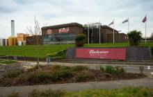 Budweiser Brewing Group plans to deploy hydrogen at UK brewery