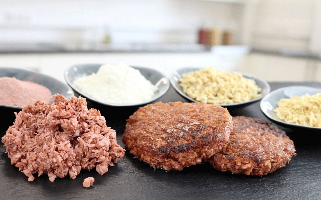 Loryma develops new plant-based meat application concept