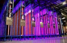 Start-up company Yemoja debuts first red microalgae for meat applications