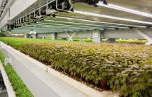 Upward Farms expands network with new indoor facility
