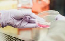 Biotech company CellulaREvolution raises £1.75m