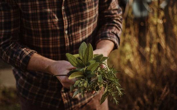 Soli Organic to build soil-based indoor farm in Washington