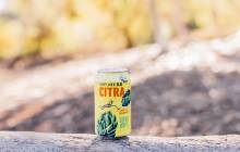 Hoplark launches non-alcoholic craft brew with zero calories