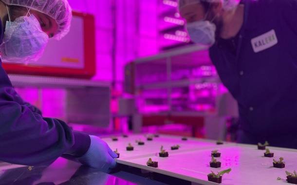 Kalera opens fifth US vertical farm