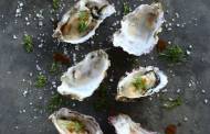 Cult Food Science invests in cultivated oyster producer Pearlita