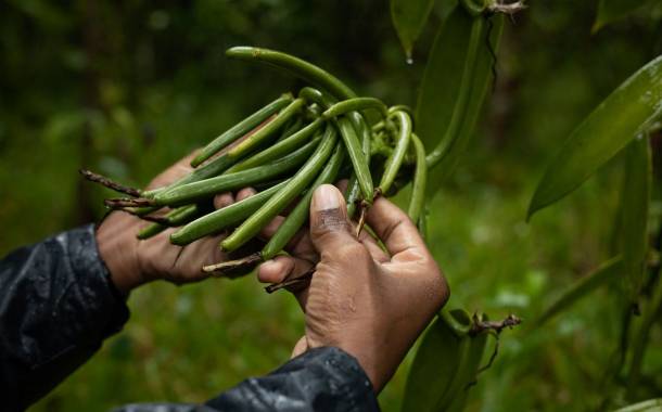 Prova begins new chapter: Committing to a programme for sustainable vanilla