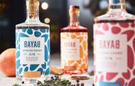 African spirits group Spearhead raises $3m in funding