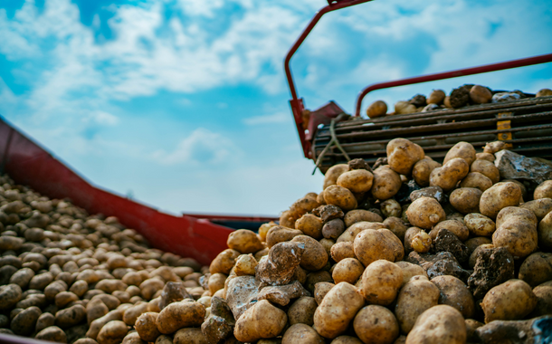 McDonald's Canada and McCain Foods launch $1m potato farming fund