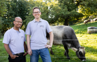 Mirai Foods and Shiok Meats partner to develop cultivated beef in Singapore