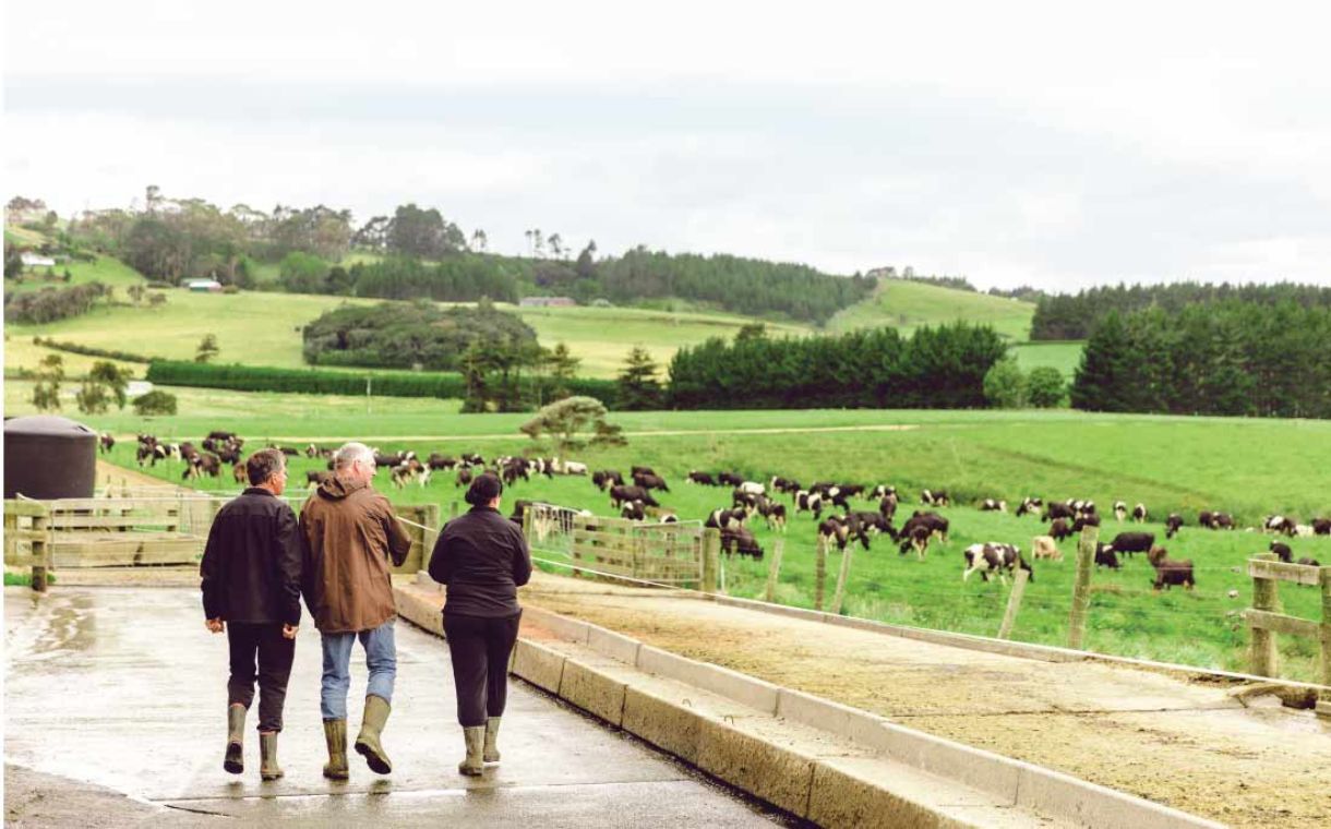 Fonterra announces 'sustainable finance framework'