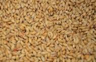 Russia resumes participation in Ukraine Black Sea grain deal