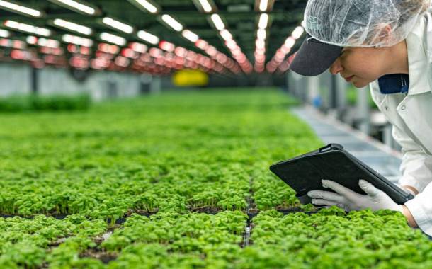 Soli Organic to construct soil-based indoor farm in Texas