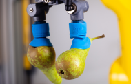 Piab releases new fruit suction cup