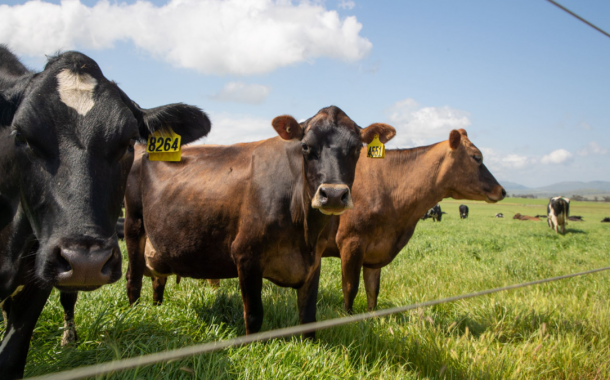 Fonterra COO Fraser Whineray to step down