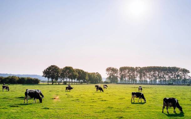 Maple Hill Creamery receives $20m USDA funding