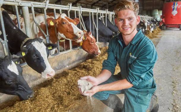 Bel rolls out methane-reducing feed for Slovakian dairy farms