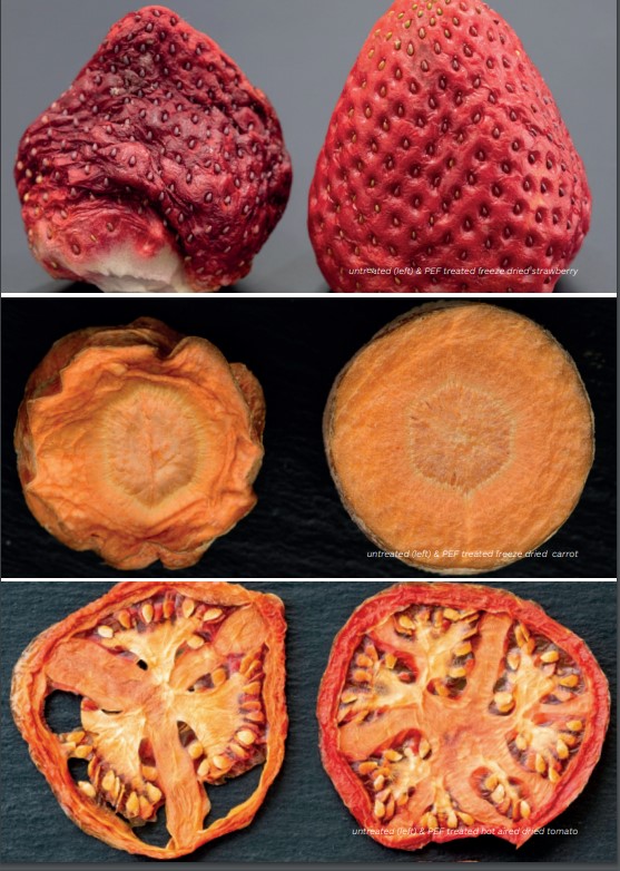 Elea comparison