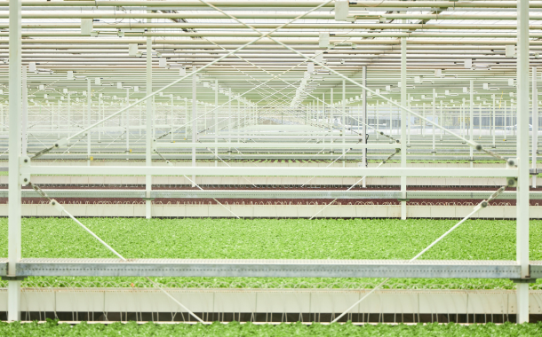 Little Leaf Farms announces new Pennsylvania greenhouse